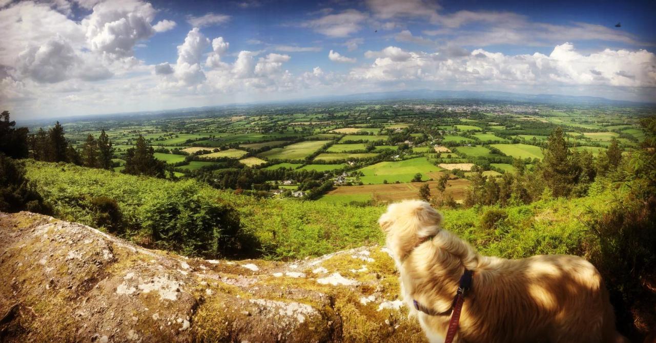 Ballyglass Country House Tipperary Eksteriør billede